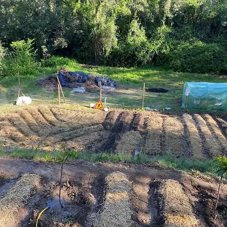 Habitacion Del Emperador Gospodarstwo wiejskie Bescanó